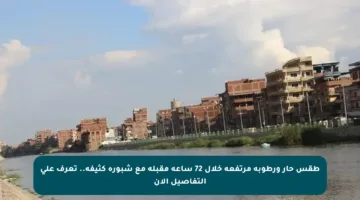 طقس حار ورطوبة مرتفعة خلال 72 ساعة مقبلة مع شبورة كثيفة.. تعرف على التفاصيل الآن